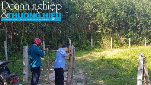 Dự án trên diện tích gần 245 ha, chỉ để cỏ mọc